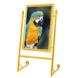 Bảng welcome