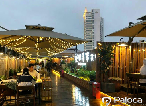 Kích thước dù ngoài trời thương hiệu Paloca